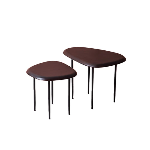 Modern Mingle: Wood and Metal End Table Set