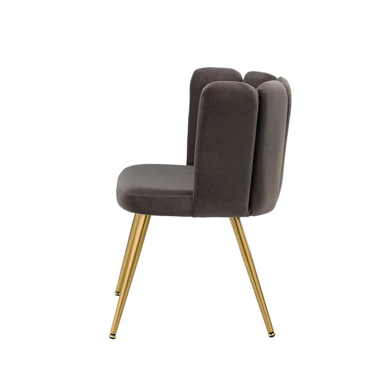 Buy Online Velvet Petal Back Chair Grey Best Price