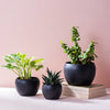 Buy Contemporary Metal Planter Set Online