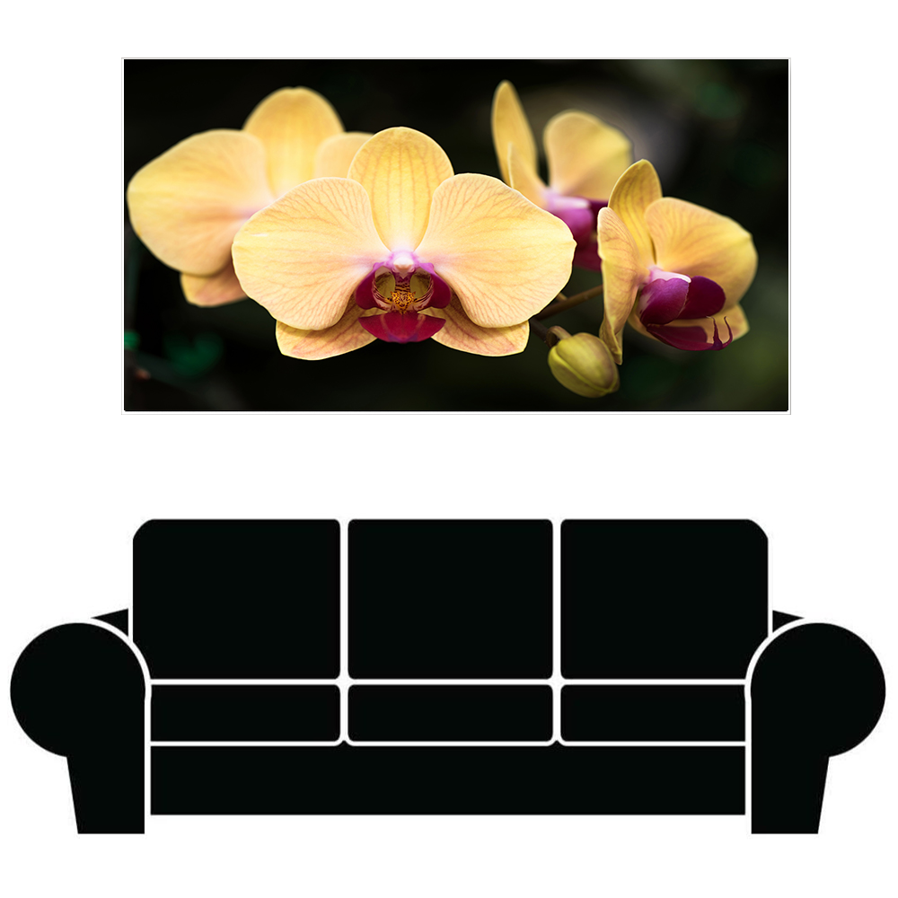 Vibrant Yellow Orchids Wall Art