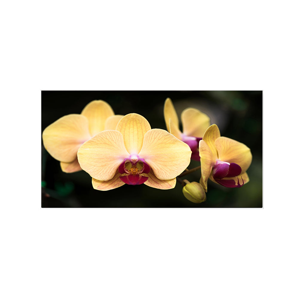 Vibrant Yellow Orchids Wall Art