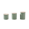 Elegant Green Canister Set of 3