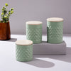 Elegant Green Canister Set of 3