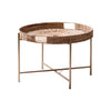 Luxurious Wicker Metal Center Table