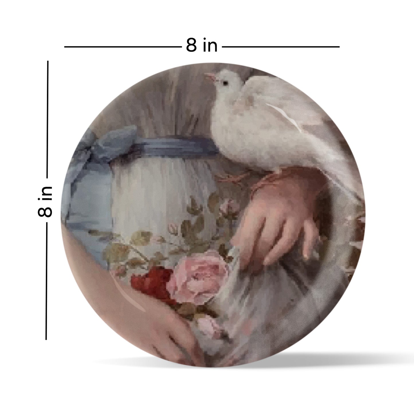 Vintage Pigeon Wall Plates