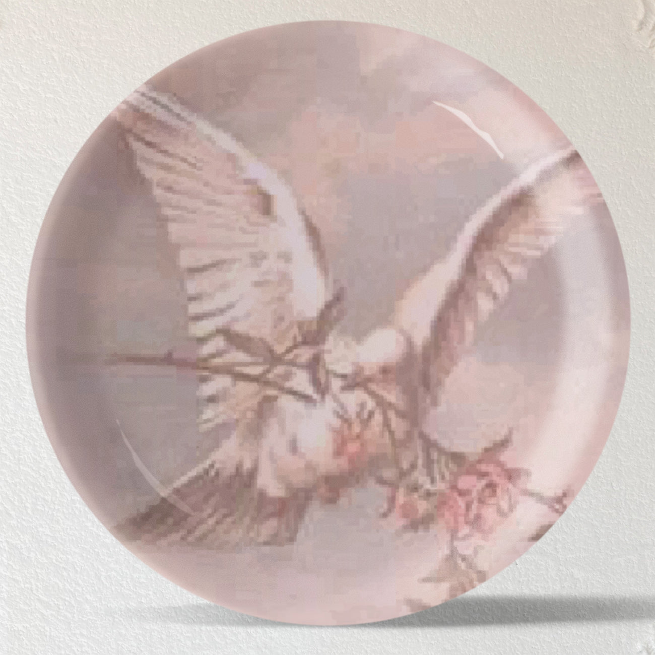 Vintage Pigeon Wall Plates Set of 5