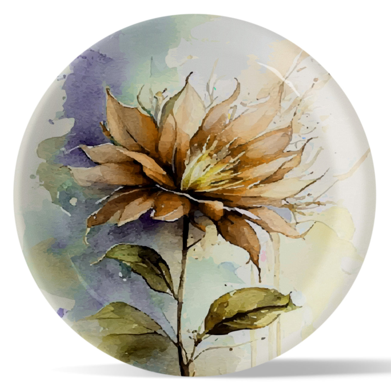 English Floral Wall Plate